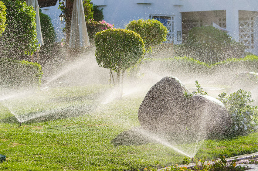 Quenching Nature's Thirst Trusted Sprinkler System Installation